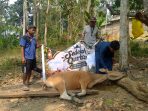 IMG-20261014-WA0045
